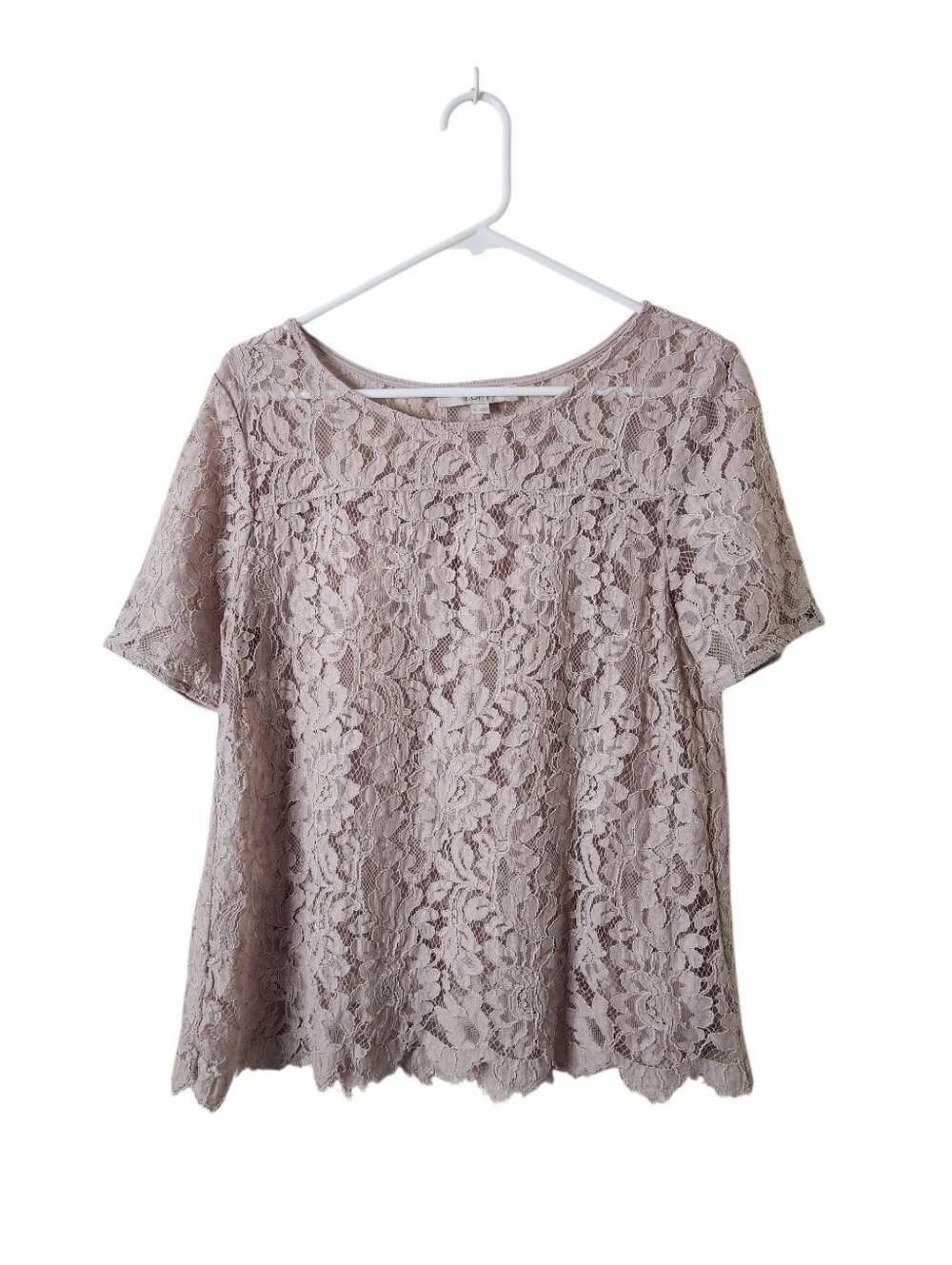 Loft Mauve Pink Lace Top